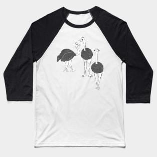 Ostrich Flock Baseball T-Shirt